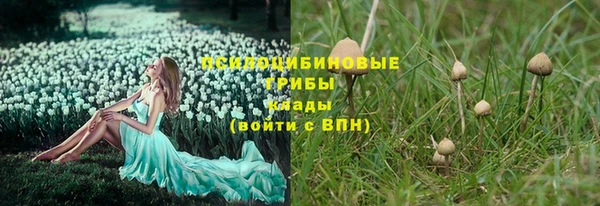 трава Мегион
