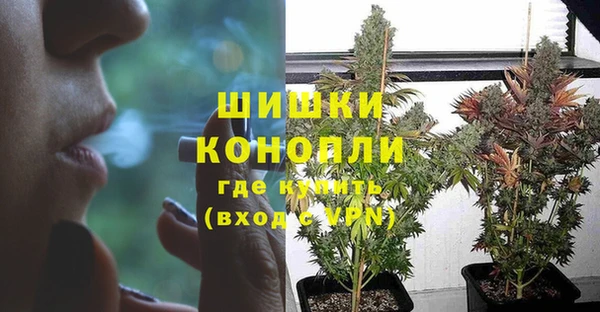 трава Мегион