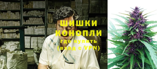 стафф Новый Уренгой