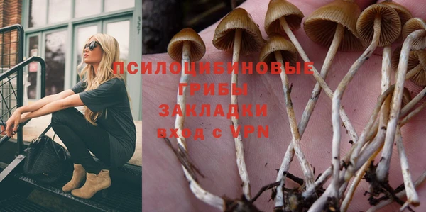 спайс Медвежьегорск