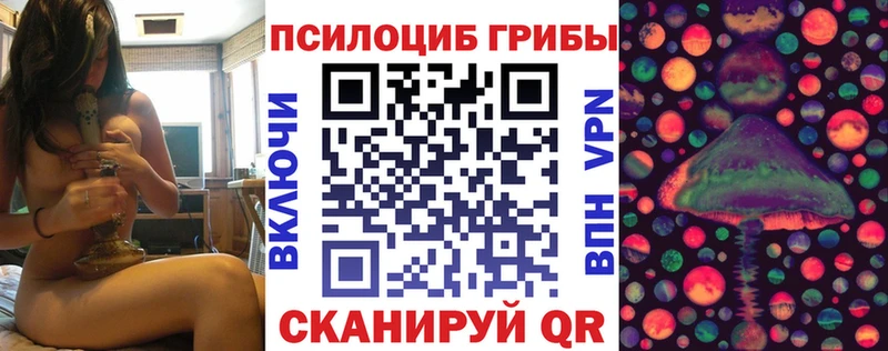 Псилоцибиновые грибы Psilocybe  MEGA tor  Муравленко 