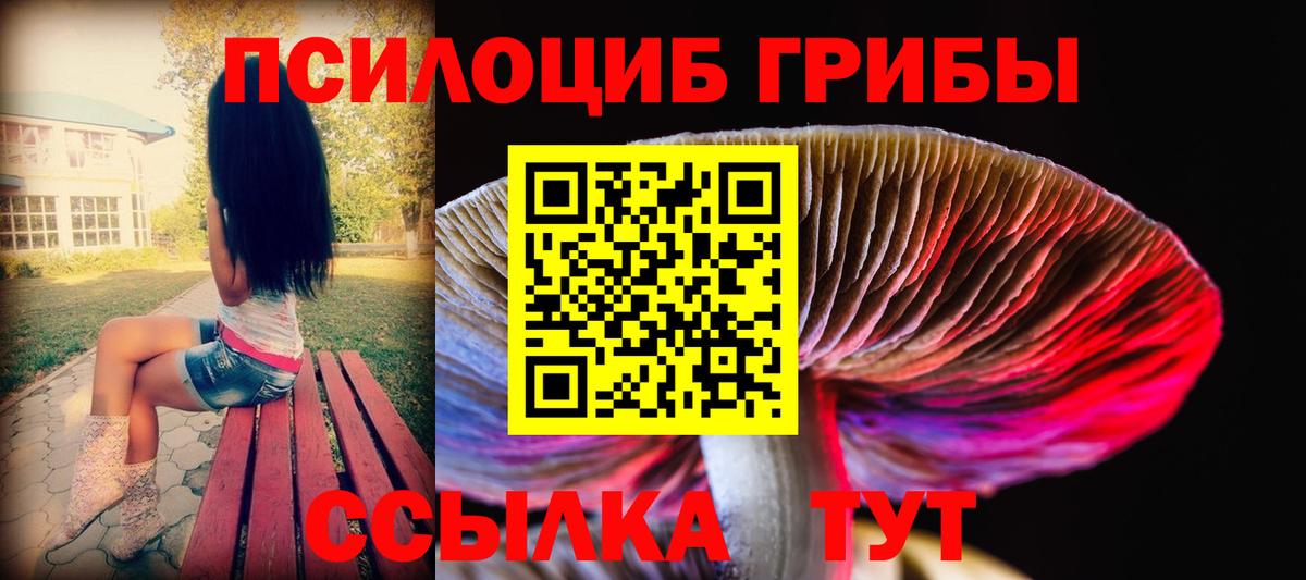 цена наркотик  Муравленко  Галлюциногенные грибы Psilocybe 