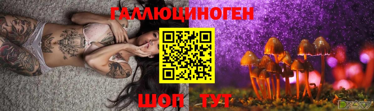 Муравленко  Галлюциногенные грибы Psilocybine cubensis  закладка  Вход с VPN  Галлюциногенные грибы Psilocybine cubensis 